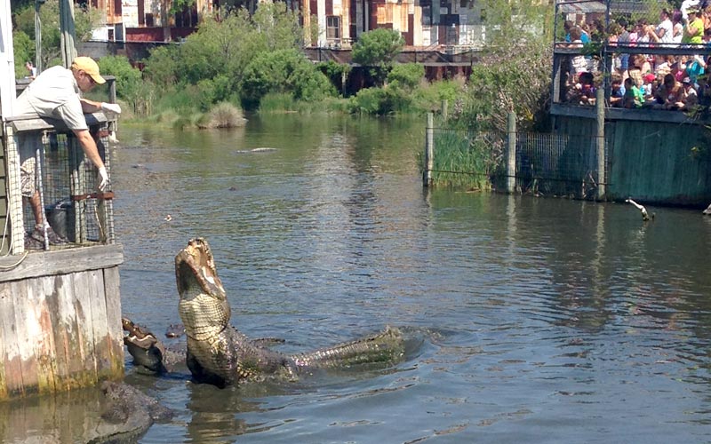 Alligator Adventure, Barefoot Resort Myrtle Beach